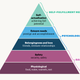 Can money propel you up the pyramid?